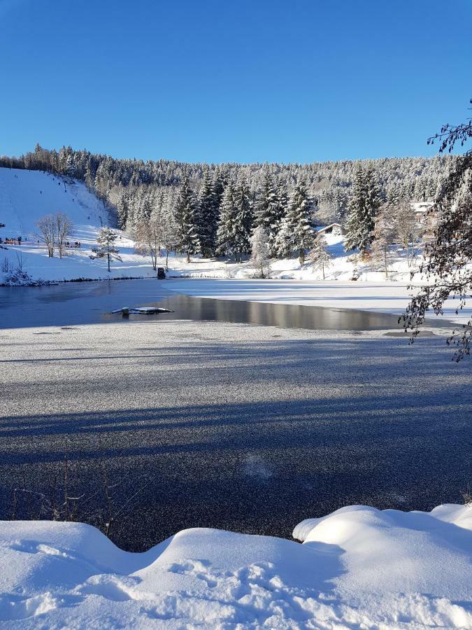 Jules Traum Im Schwarzwald Apartment Herrischried Luaran gambar