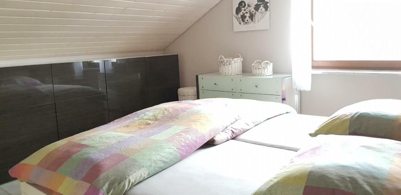 Jules Traum Im Schwarzwald Apartment Herrischried Luaran gambar