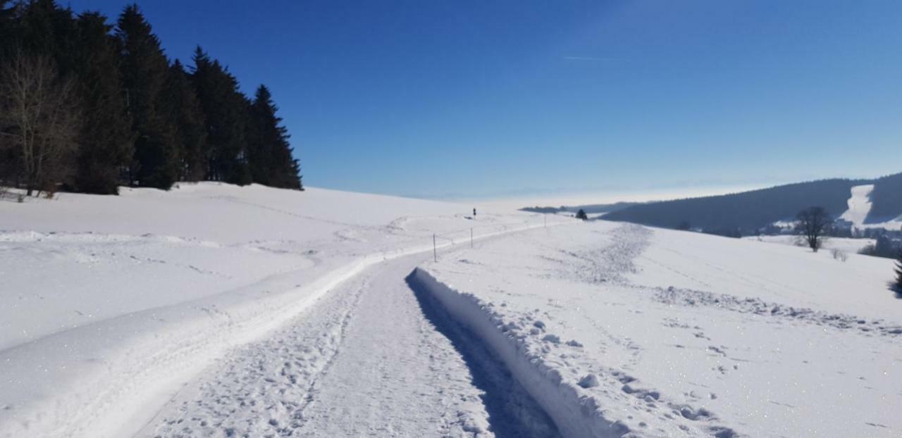 Jules Traum Im Schwarzwald Apartment Herrischried Luaran gambar