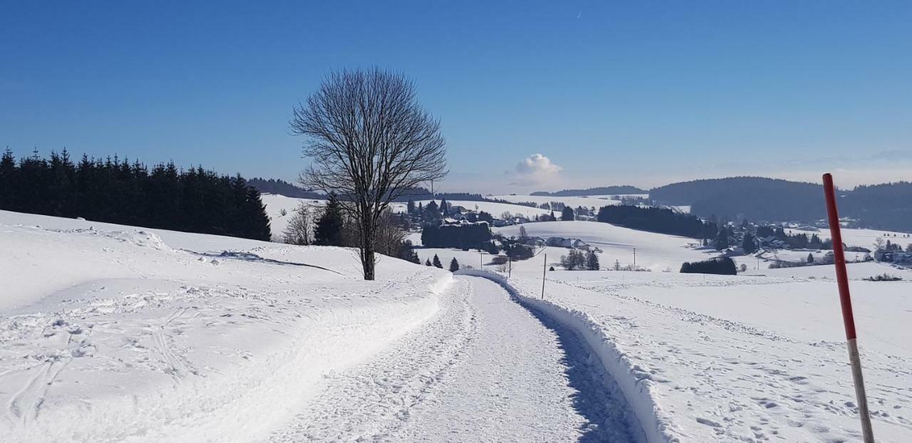Jules Traum Im Schwarzwald Apartment Herrischried Luaran gambar